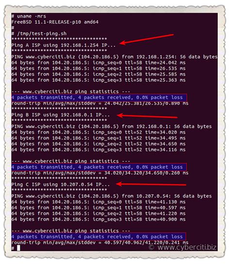 Script for ping from all interfaces .